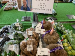 10月24日　本日の野菜