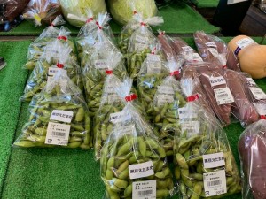 10月24日　本日の野菜