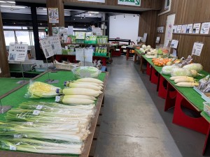 1月10日　本日の野菜