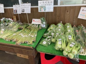 5月8日　本日のおすすめ