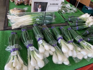4月16日　本日の野菜