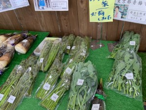 4月16日　本日の野菜