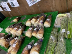 4月16日　本日の野菜