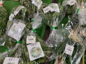 4月17日　本日の野菜