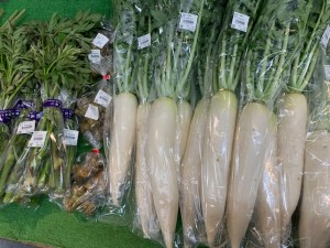 4月17日　本日の野菜