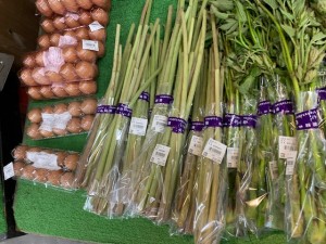 4月17日　本日の野菜