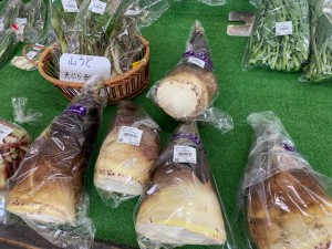 4月17日　本日の野菜