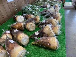 4月17日　本日の野菜