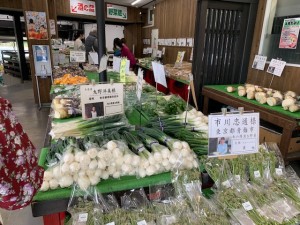 4月17日　本日の野菜