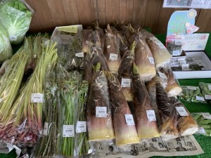 5月15日　本日の野菜