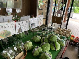 5月15日　本日の野菜
