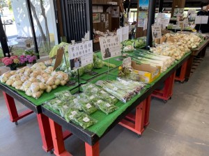 5月8日　本日のおすすめ