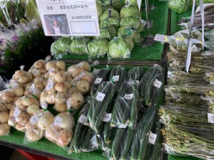 5月15日　本日の野菜