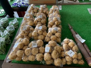 5月15日　本日の野菜