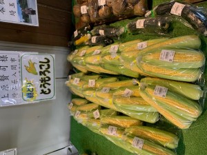 6月12日　本日の野菜