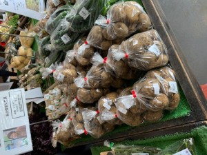 6月12日　本日の野菜