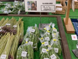 5月9日　本日のおすすめ