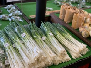 5月9日　本日のおすすめ