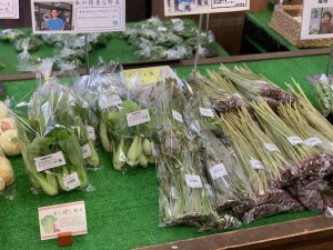 5月9日　本日のおすすめ