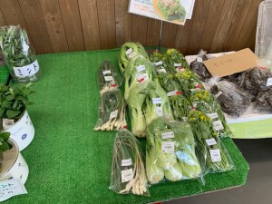 5月10日　野菜