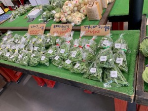 5月１０日　本日のおすすめ品