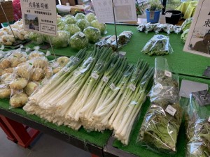 5月10日　本日のおすすめ