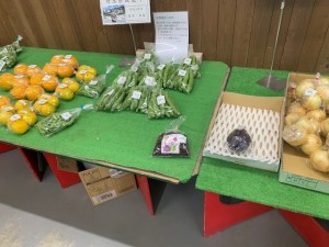 5月13日　本日のおすすめ