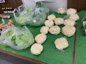 5月14日　本日のおすすめ