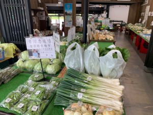 5月14日　本日のおすすめ