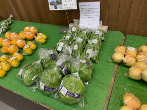 5月14日　本日のおすすめ