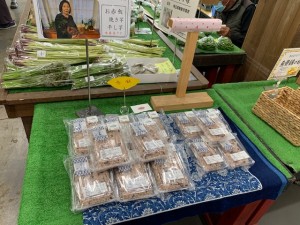 5月15日　本日のおすすめ