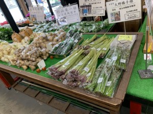 5月15日　本日のおすすめ