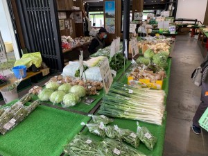 5月15日　本日のおすすめ