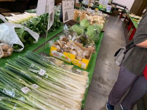 5月15日　本日のおすすめ