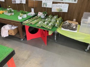 5月17日　本日のおすすめ