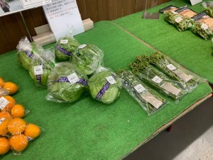 本日のおすすめ５月17日