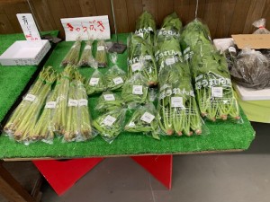 5月18日　本日のおすすめ