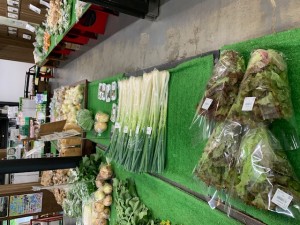 5月18日　本日のおすすめ