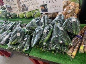 6月3日　本日のおすすめ