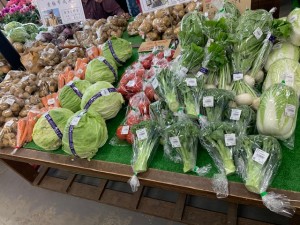 6月3日　本日のおすすめ