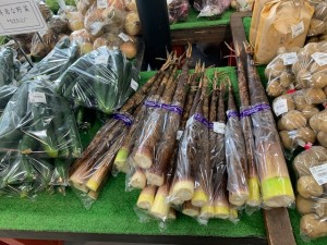 6月3日　本日のおすすめ