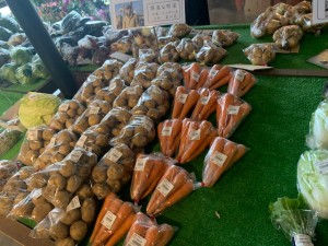 6月4日　本日のおすすめ