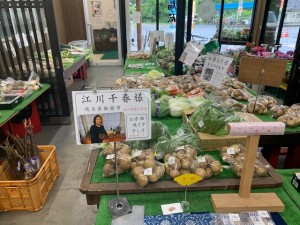 6月4日　本日のおすすめ