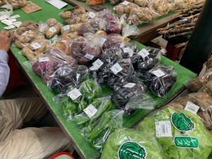 6月5日　本日のおすすめ