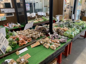 6月5日　本日のおすすめ