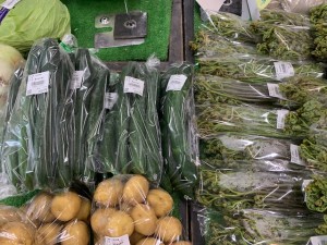 6月4日　本日のおすすめ