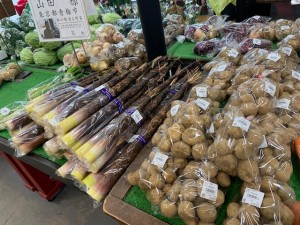 6月5日　本日のおすすめ