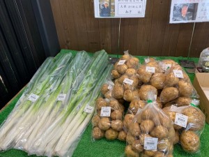 6月5日　本日のおすすめ