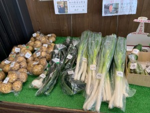 6月8日　本日のおすすめ